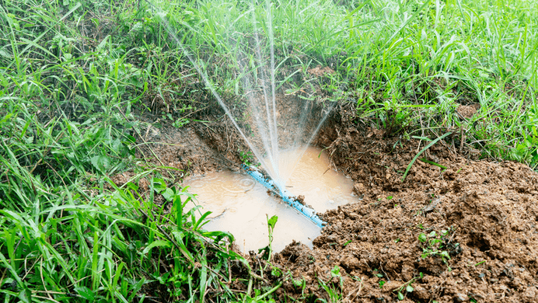America's Plumbing can detect and repair plumbing leaks efficiently and effectively. Learn all the signs and causes of common plumbing leaks.